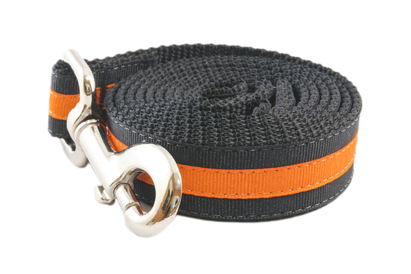 Halloween Dog Leash - Haunted House