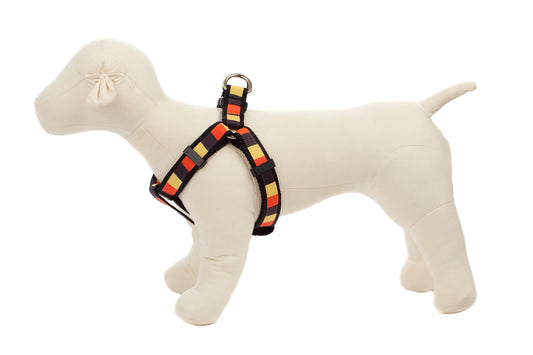 Halloween Dog Harness - Candy Corn Block