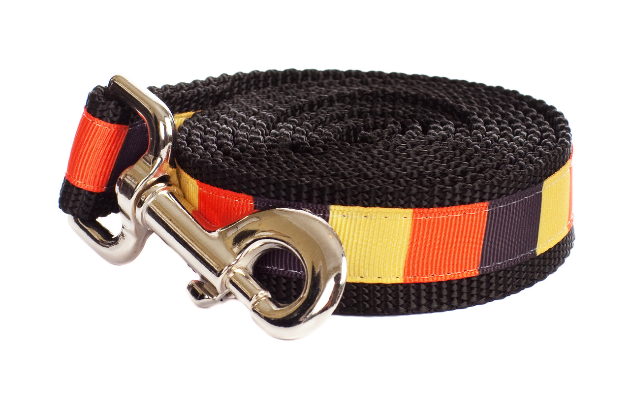 Halloween Dog Leash - Candy Corn Block
