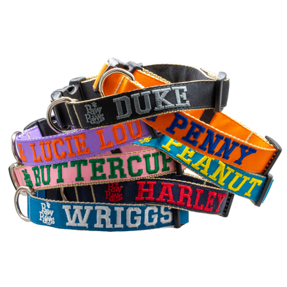 SHOP - COLLAR MONOGRAM