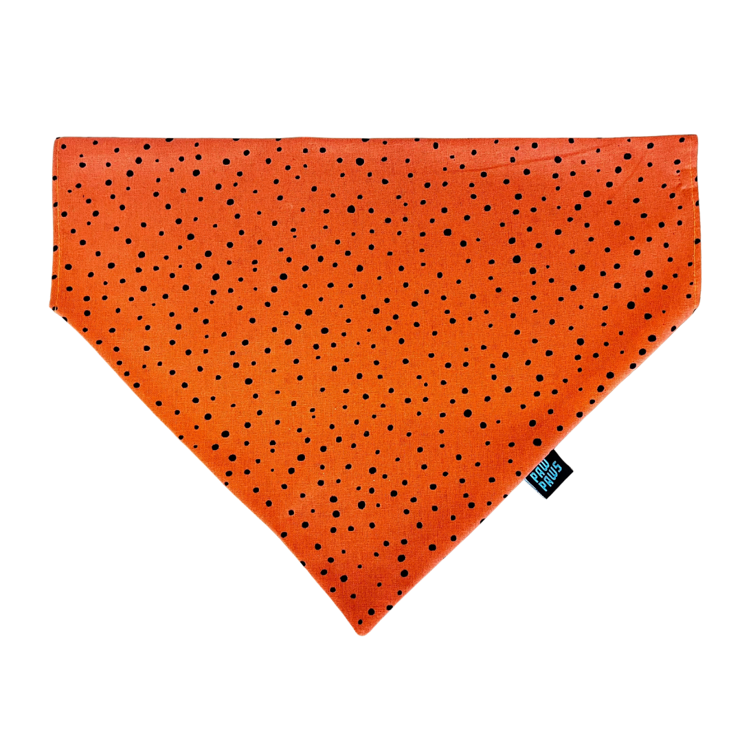 Halloween Flicker - Pawkerchief