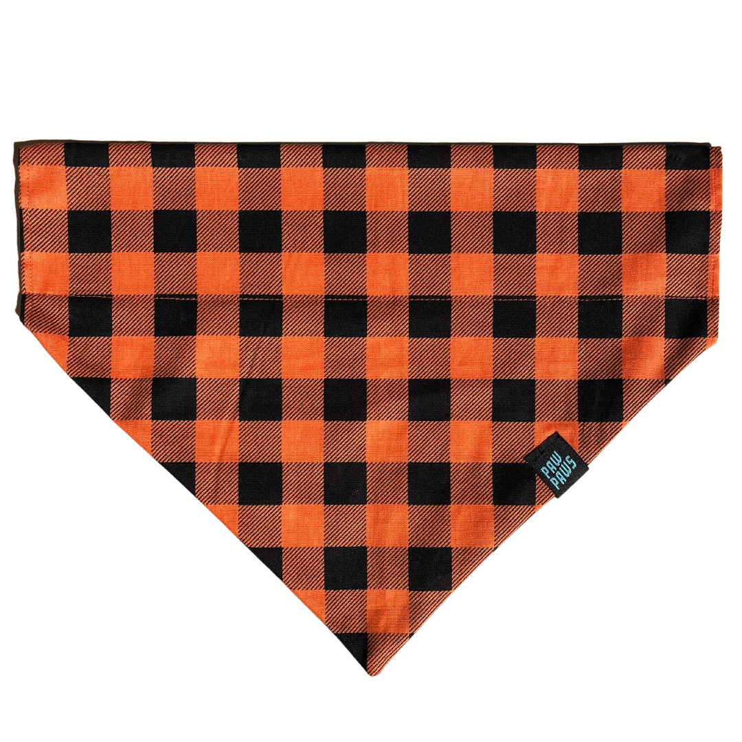 Pumpkin Patch - Pawkerchief