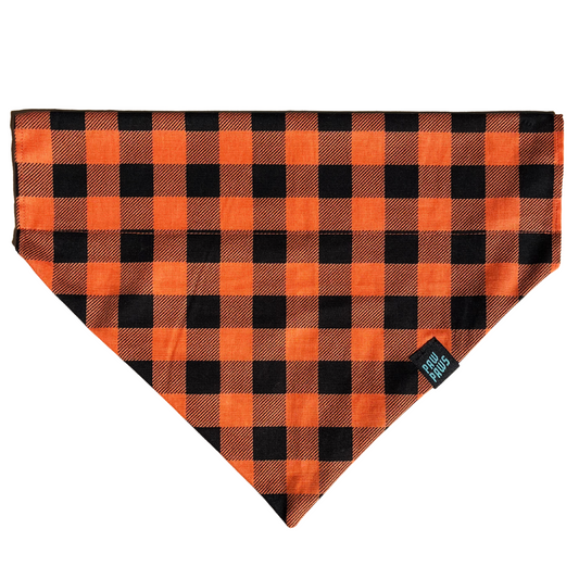 Pumpkin Patch - Pawkerchief