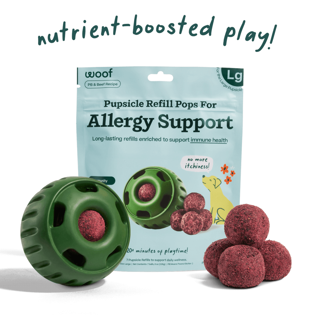 Pupsicle Allergy & Immunity Pops