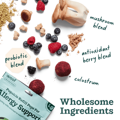 Pupsicle Allergy & Immunity Pops