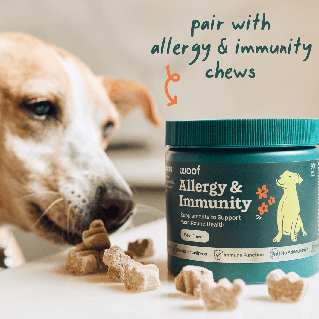 Pupsicle Allergy & Immunity Pops
