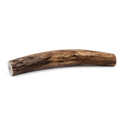 Split Elk Antlers Dog Chews – Medium/Large (5”–8”)