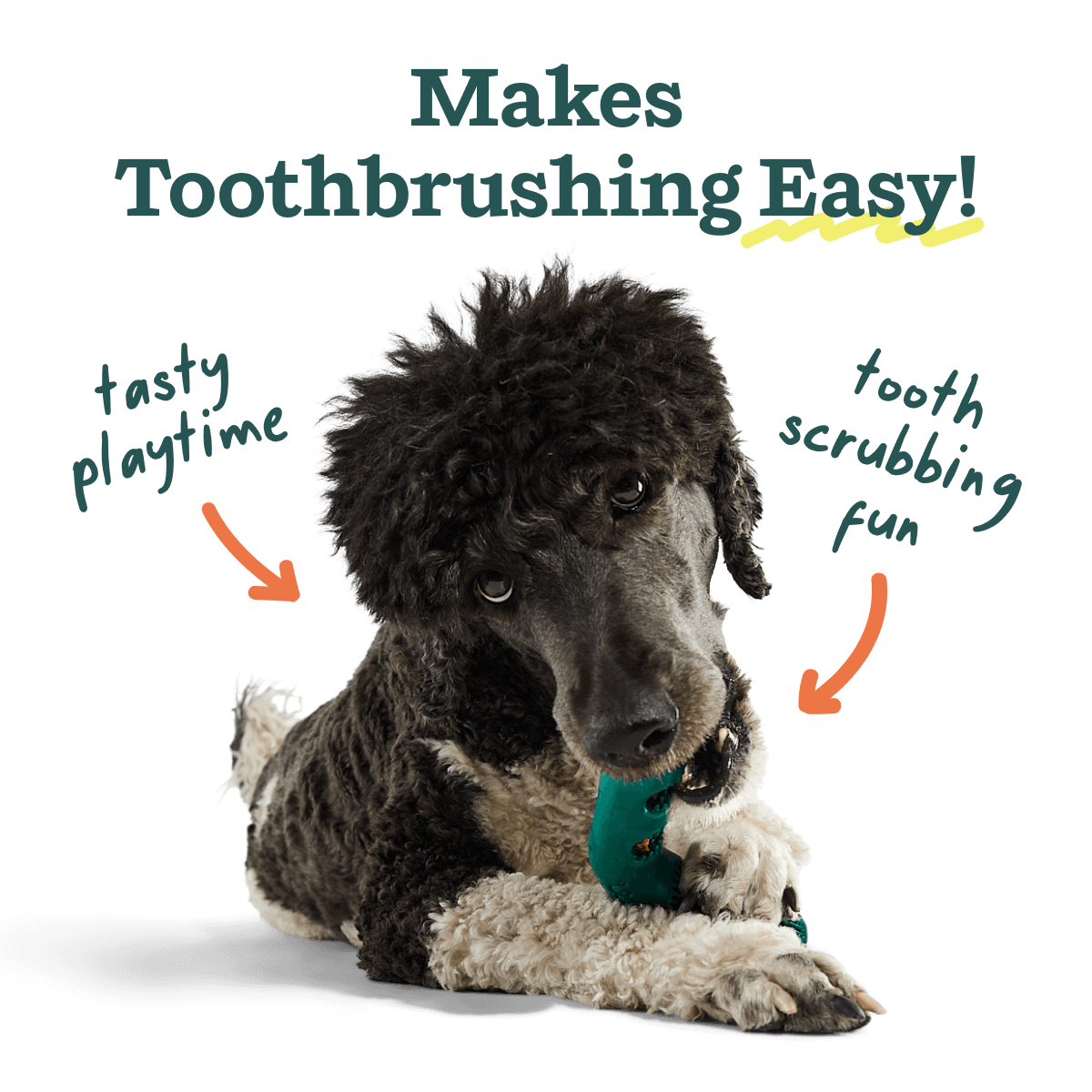 The Bite n' Brush