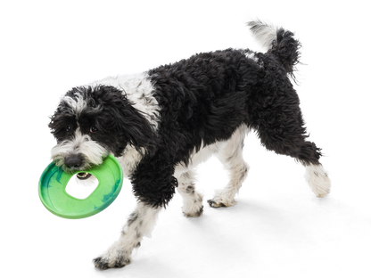 Sailz® Dog Flying Disc Fetch Toy