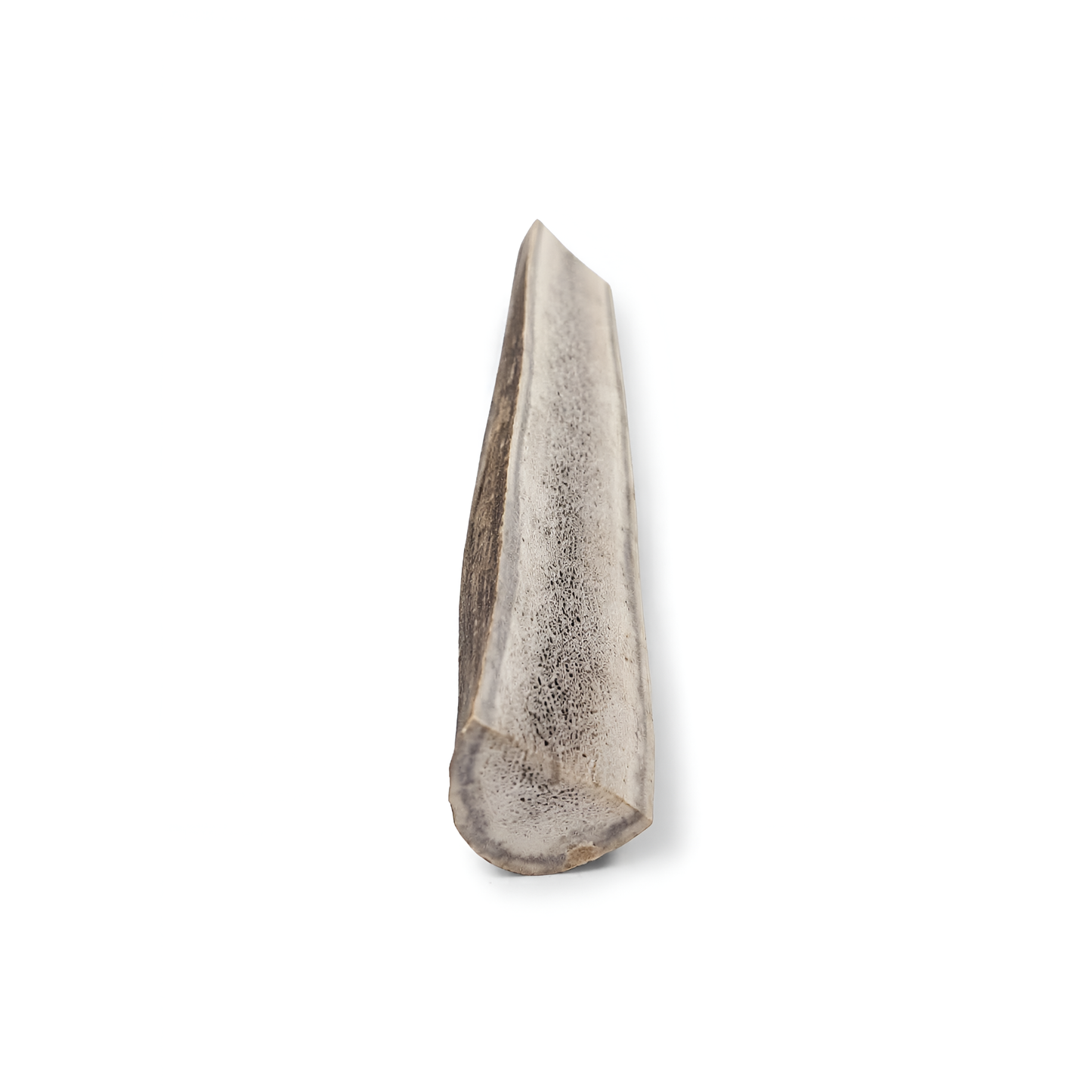 Split Elk Antlers Dog Chews – Medium/Large (5”–8”)