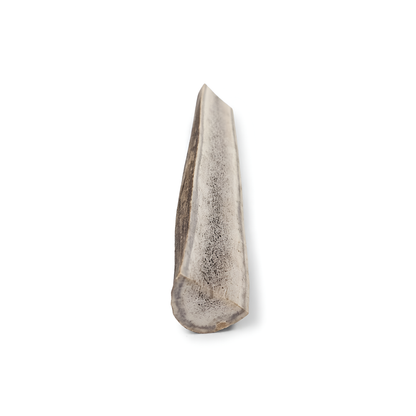 Split Elk Antlers Dog Chews – Medium/Large (5”–8”)
