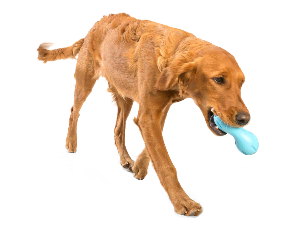 Qwizl® Dog Puzzle Treat-Dispensing Enrichment Toy