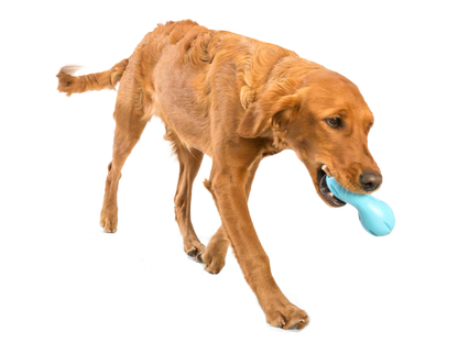 Qwizl® Dog Puzzle Treat-Dispensing Enrichment Toy