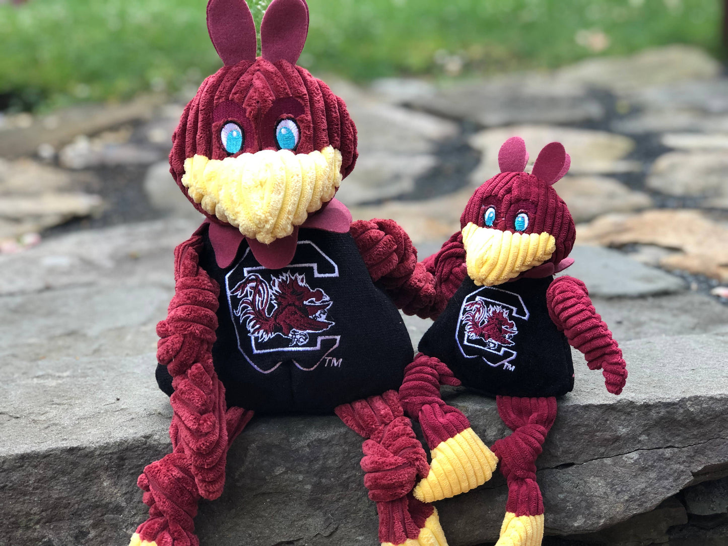 South Carolina (U. of), Cocky Knottie® Plush Dog Toy