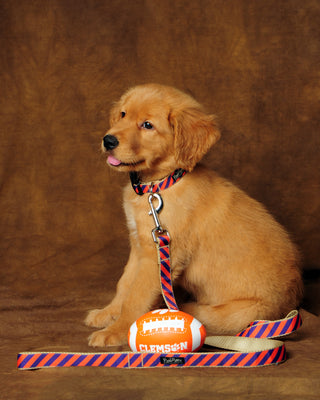 Collegiate - Clemson05 Dog Harness Tiger Rep Stripe