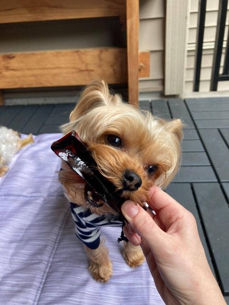Mighty Marrows Collagen Dental Chew - Bacon