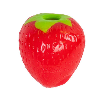 Orbee-Tuff Strawberry Treat-Dispensing Fetch Toy