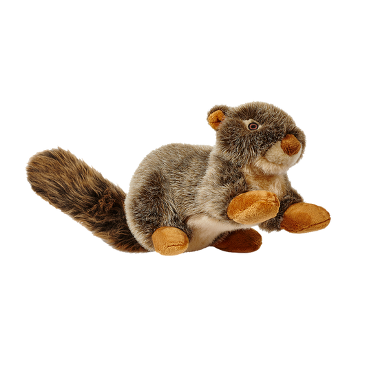 Nuts Squirrel Dog Toy